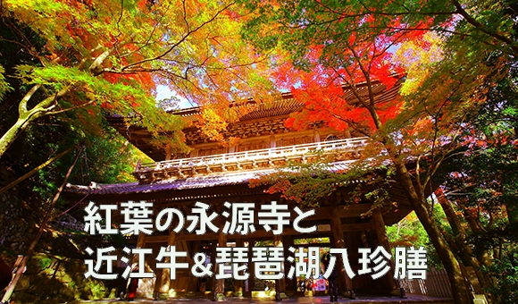 地元発着・紅葉の永源寺と近江牛＆琵琶湖八珍膳