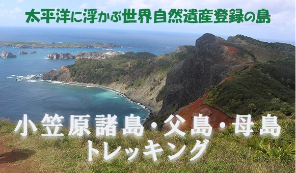 小笠原諸島・父島・母島トレッキング