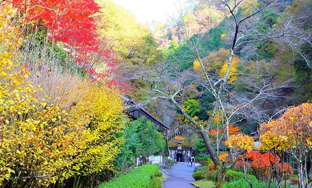 生野銀山(イメージ)