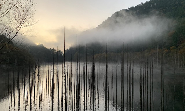 早朝の霧の自然湖（10月イメージ）