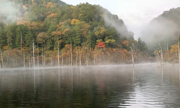 紅葉の自然湖（10月イメージ）