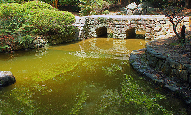 大麻比古神社メガネ橋