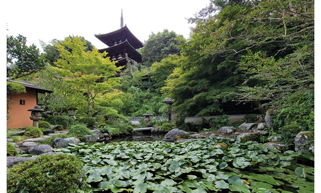 當麻寺中之坊庭園「香藕園」