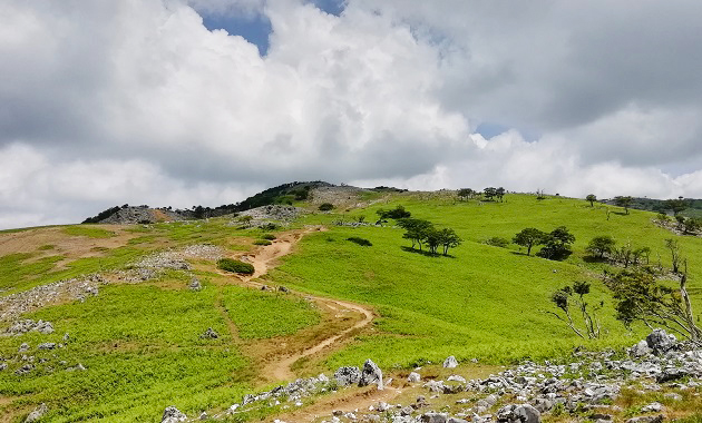 霊仙山特有の広々とした台地(イメージ)