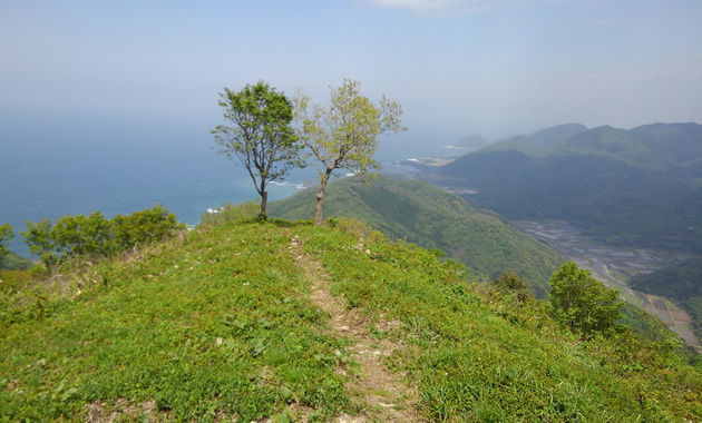 5月上旬の依遅ケ尾山（イメージ）