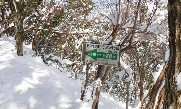 山頂手前で少し急登が続きます(イメージ)