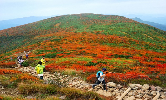 栗駒山(イメージ)