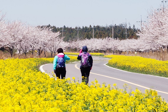 ３日目・鹿山路を歩く＜写真提供：VISIT CEJU＞